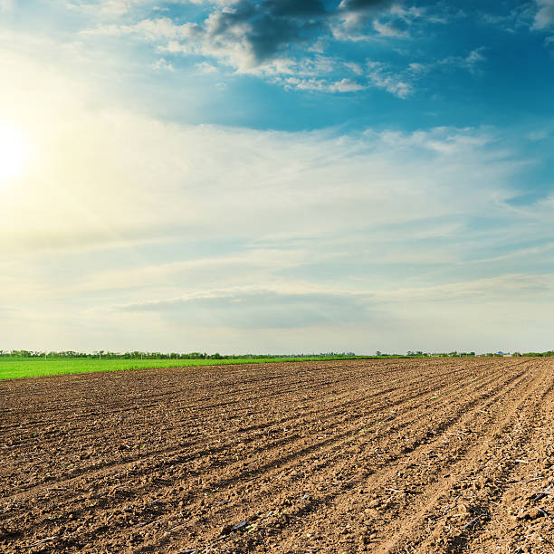 istock black agriculture field in spring and sunset in clouds 531861156