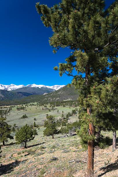 istock Rocky Mountain National Park, Colorado 531861775