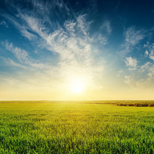 istock golden sunset in cloudy sky over green grass field 531861830