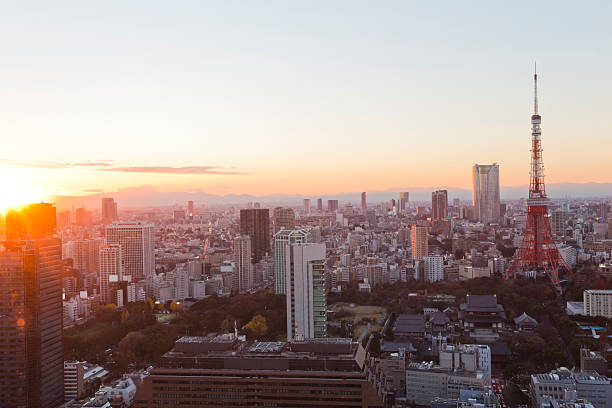 istock Tokyo Skyline at Dusk 531863088