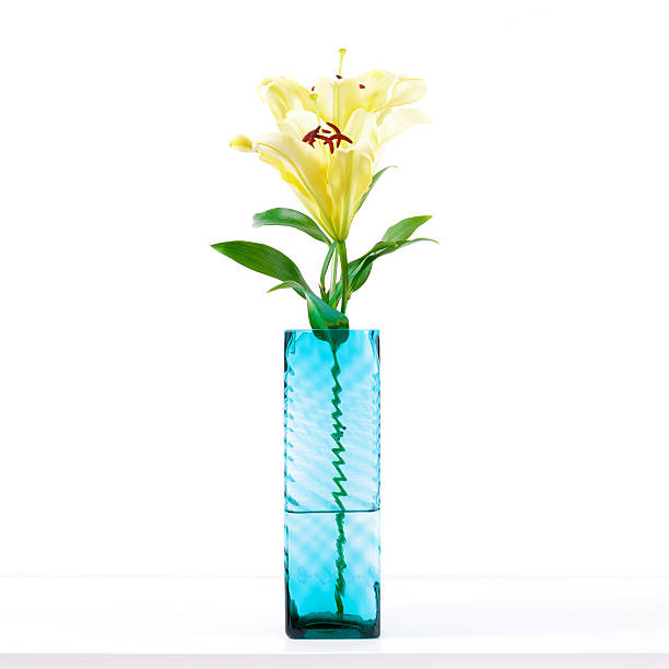 istock Soft yellow lily flowers in square vase 531863146