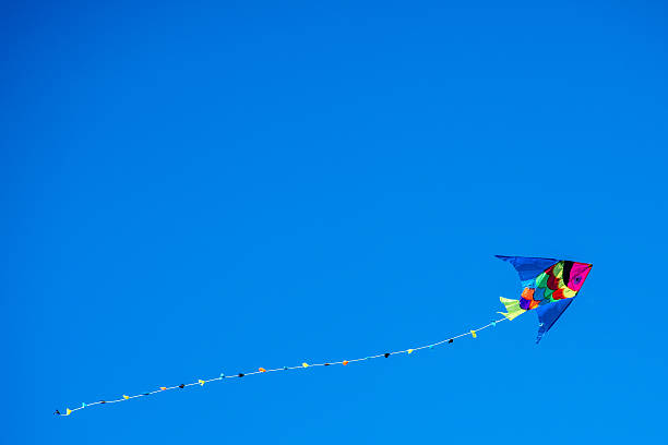 istock colorful kite flying free in the wind 531864362