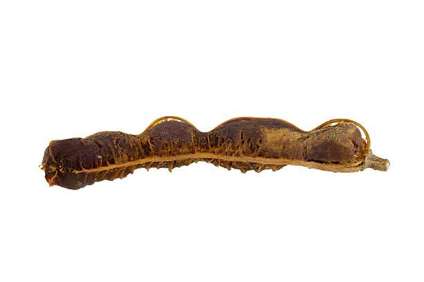 istock Close up tamarind isolated on white background 531867232