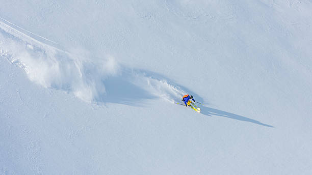 istock Male skier in snow 531867556