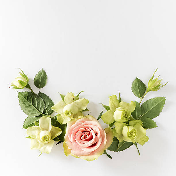 istock Frame  with  roses, green flowers and leaves on white background 531867708