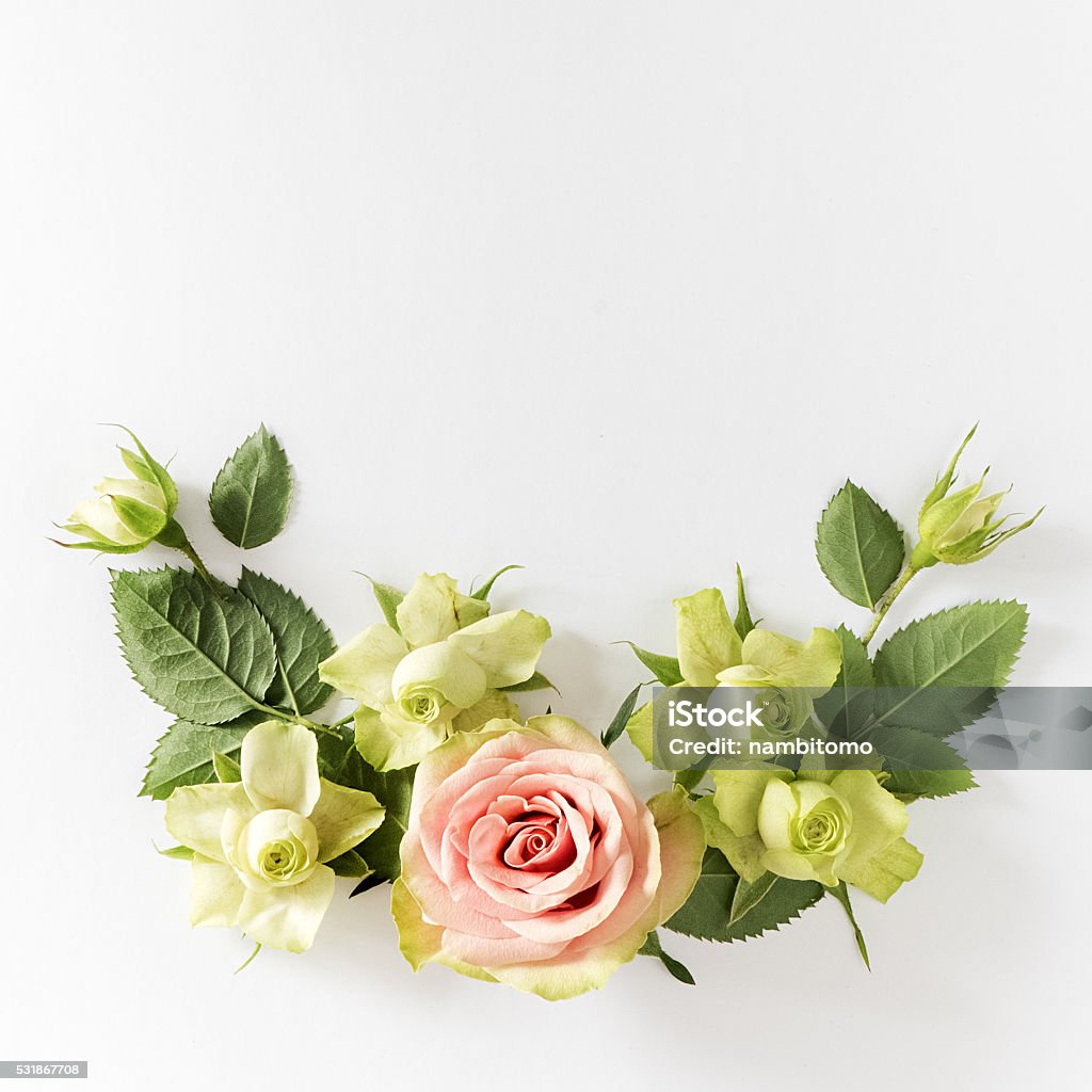 Frame  with  roses, green flowers and leaves on white background Frame  with  roses, green flowers and leaves on white background. Flat lay, top view Decoration Stock Photo