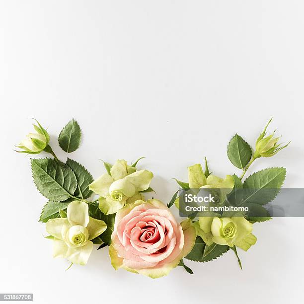 Frame With Roses Green Flowers And Leaves On White Background Stock Photo - Download Image Now