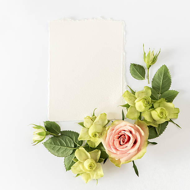 istock Frame  with  roses, green flowers and leaves on white background 531867796
