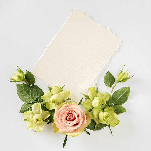 istock Frame  with  roses, green flowers and leaves on white background 531867828