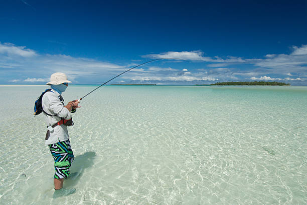 volar pescador contratar bonefish - bonefish fotografías e imágenes de stock