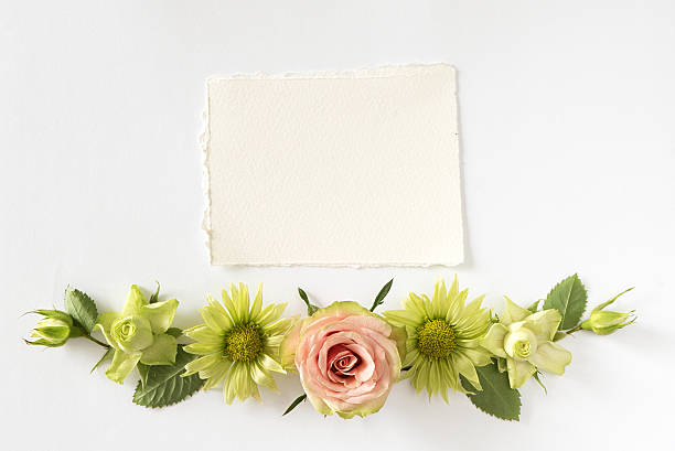 istock Frame  with  roses, green flowers and leaves on white background 531868500