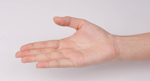 istock Women hand isolated on white background 531869323
