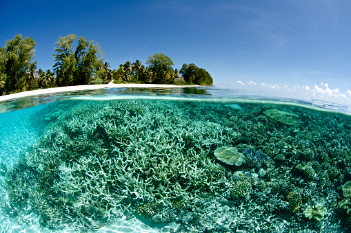 split level image of coral reef in foreground and tropical island background in seychelles
