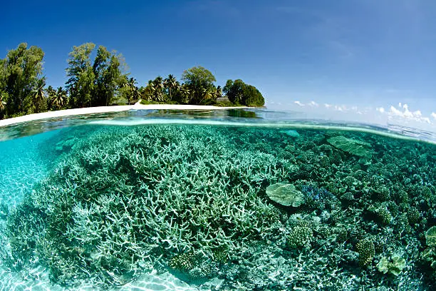 Photo of coral reef next tropical island