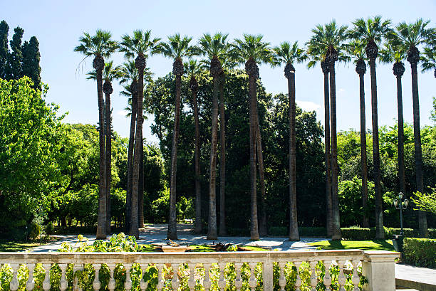 istock National Garden in Athens 531871276
