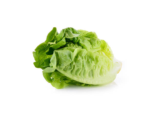 istock Romain Lettuce isolated on a white background 531872960