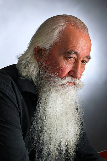 istock Portrait of the sage 531883093
