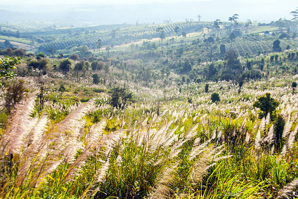 istock Landscape of mountain 531885375
