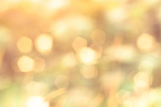 istock Bokeh lights and stars 531887305