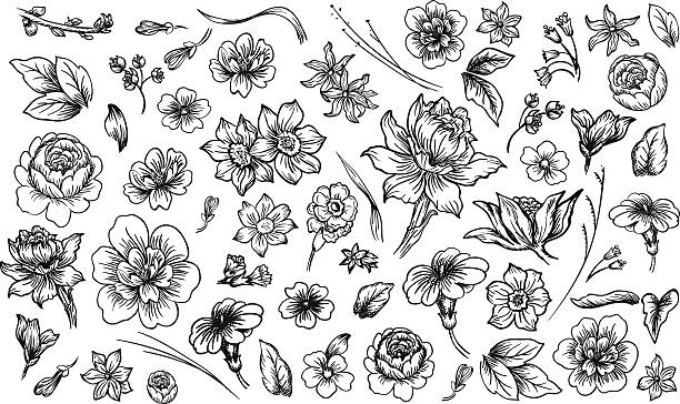 Flower Set vector art illustration