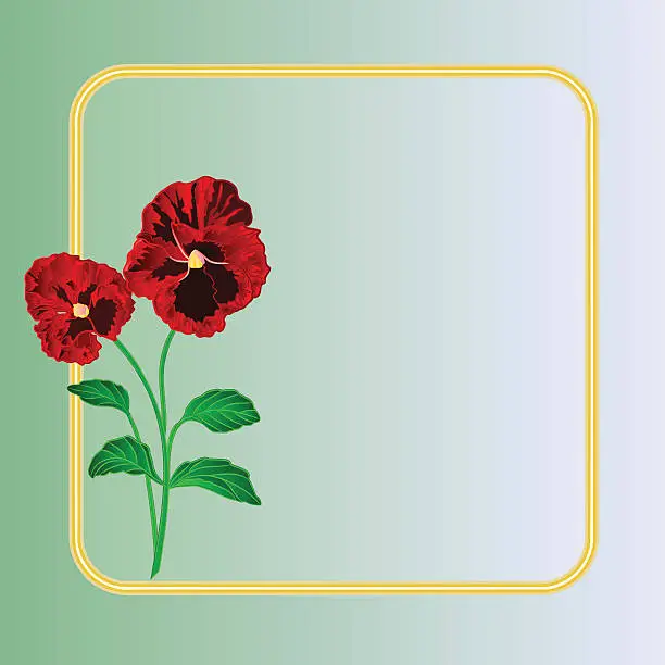 Vector illustration of Pansies spring flowers vector