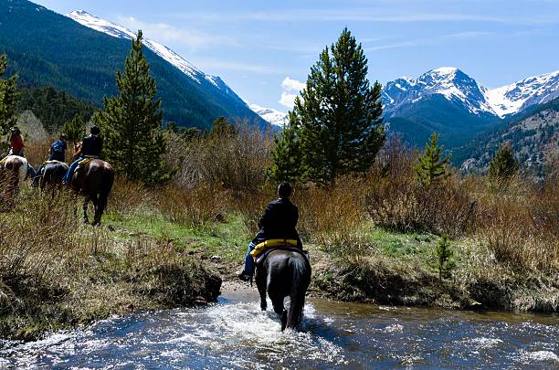 ausritt zu pferd, colorado - big thompson river stock-fotos und bilder