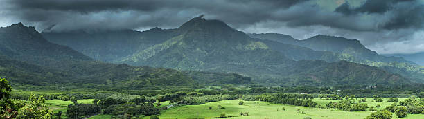 hawaiian valley panorama-zielony piękno-zdjęcia typu stock - waimea canyon state park zdjęcia i obrazy z banku zdjęć