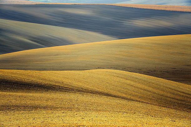 istock Lines and waves in  Moravian fields.Czech Repubic 531906861