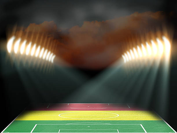 istock Football stadium with Mali flag textured field 531919064