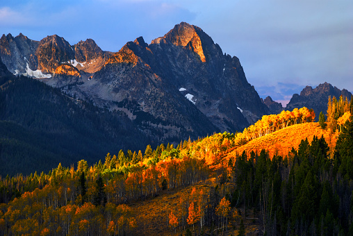 Beautiful intimate autumn scene with Sawtooth mountain range in the background in Stanley, Idaho, USA