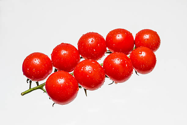 Tomatoes tomatoes on white background panicle stock pictures, royalty-free photos & images