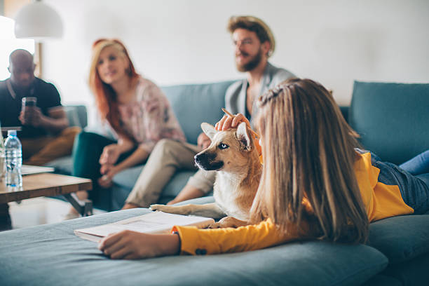 ambiente de relajación - male dog fotografías e imágenes de stock