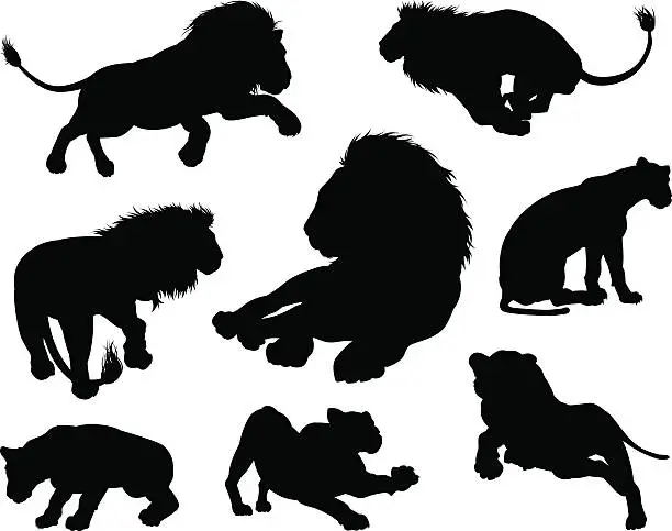 Vector illustration of Lions Silhouettes