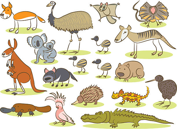Australian animal kids drawing Illustration of a group of animals of Australia painted by hand as a simple child's drawing. animal spine stock illustrations