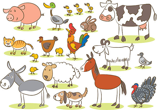 ilustraciones, imágenes clip art, dibujos animados e iconos de stock de los niños de dibujo animales domésticos - horse goat child humor