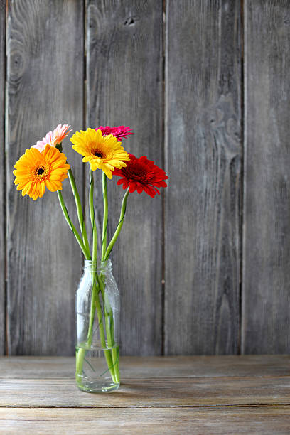 istock Bouquet of gerberas in a vase 531925965