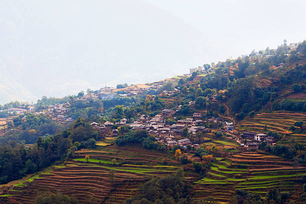 ghandruk village, nepal - nepal landscape hiking rice imagens e fotografias de stock