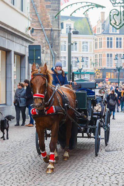 dorożka i turystów na markt placu brugge narodzenia - bruges belgium history scenics zdjęcia i obrazy z banku zdjęć