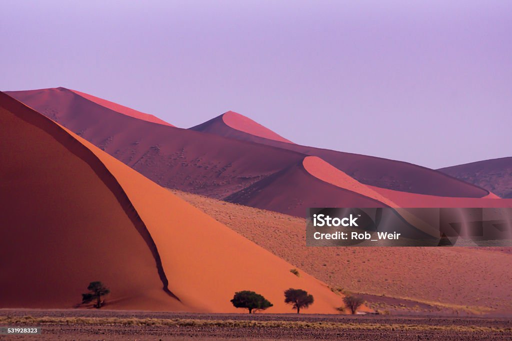 Sossusvlei, Namibia Sossusvlei sand dunes with trees to provide a sense of sale. Taken in landscape format. Sossusvlei Stock Photo