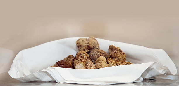 italiano branco trufas - white truffle imagens e fotografias de stock