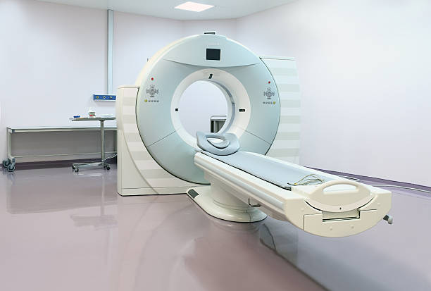 ct scanner. - tiere sterben sehen stock-fotos und bilder