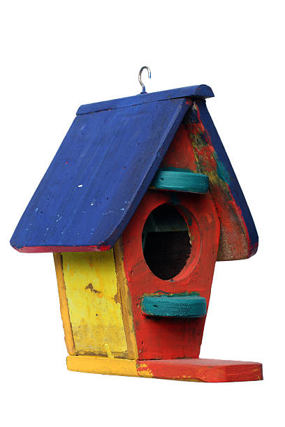 istock colorful bird house isolated on white background. 531931187
