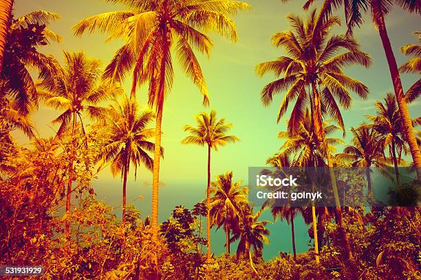 Nice Tropical Background Stock Photo - Download Image Now - 2015, Backgrounds, Beach