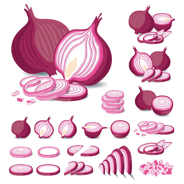 ilustraciones, imágenes clip art, dibujos animados e iconos de stock de cebolla aislado vector de - onion