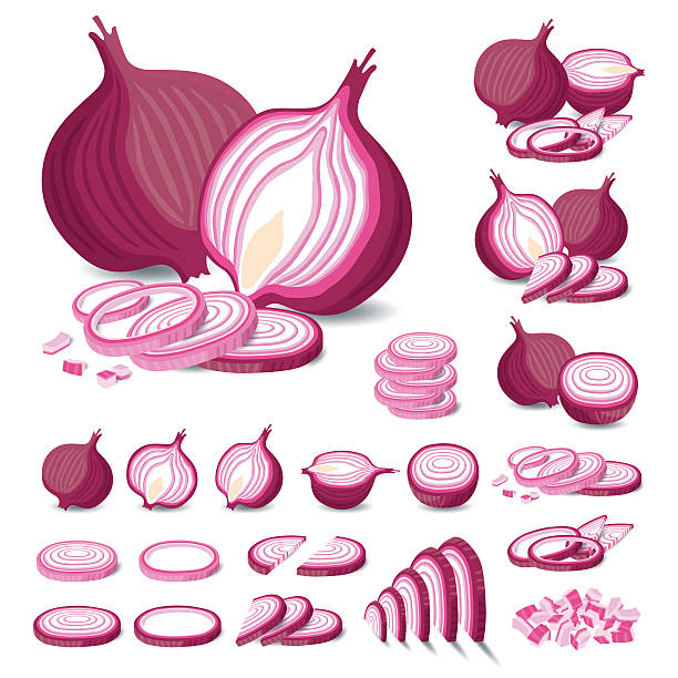 красный лук изолированные вектор - onion stock illustrations