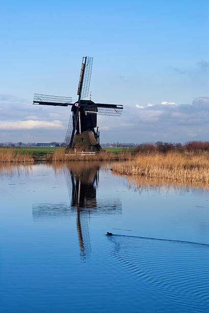 mill'broekmolen' - alblasserwaard fotografías e imágenes de stock