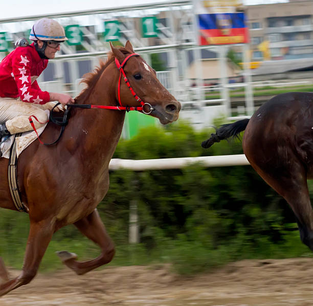 Horse Racing In Nalchik Stock Photo - Download Image Now - Animal