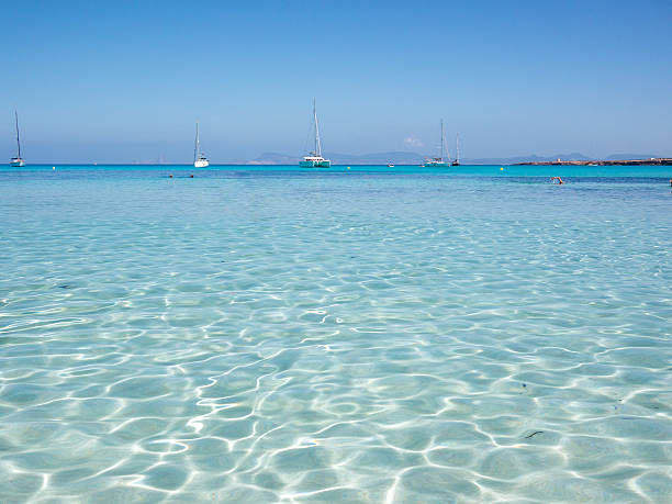 istock Waters of Cala Saona 531942612