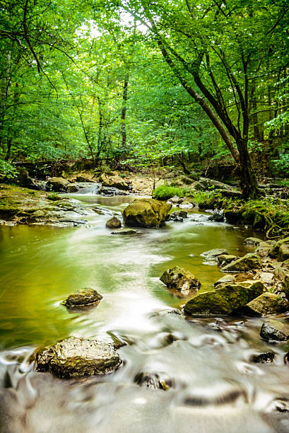 Slow flowing waters of Eno Rocks and trees at Eno River State Park in Durham,North Carolina. This is one of the best natural parks in the northern part of the city, It has several hiking trails beneath a thick forest of maple, oak and evergreen trees. Hiking on its trails gives you not only the benefits of exercise and fresh air, but also provides an enjoyable rustic beauty of nature and wildlife. eno river stock pictures, royalty-free photos & images