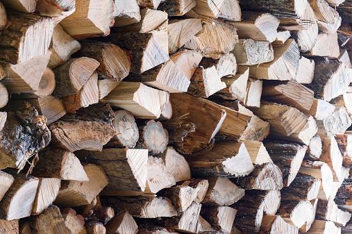 Woodpile from dry oak logs. Selective focus. For use as nature background.